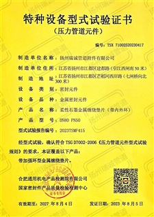 特種設(shè)備型式試驗(yàn)證書